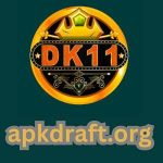 DK11 Game APK